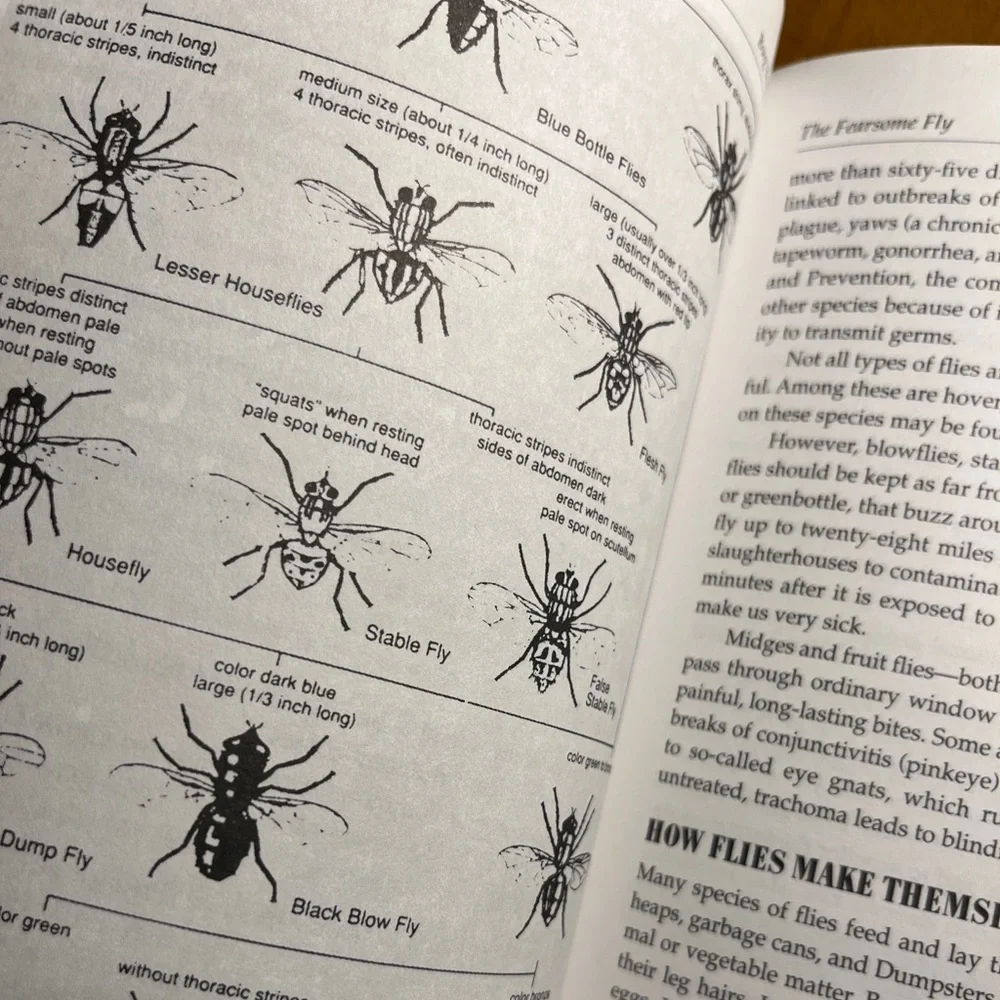 Bug Busters by Bernice Lifton. Poison Free Pest Control for House and Garden - Picture 7 of 9